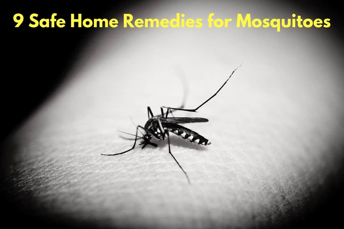 home remedies for mosquitoes