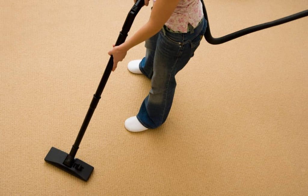 Does Vacuuming Kill Fleas? DIY Pest Control Guide